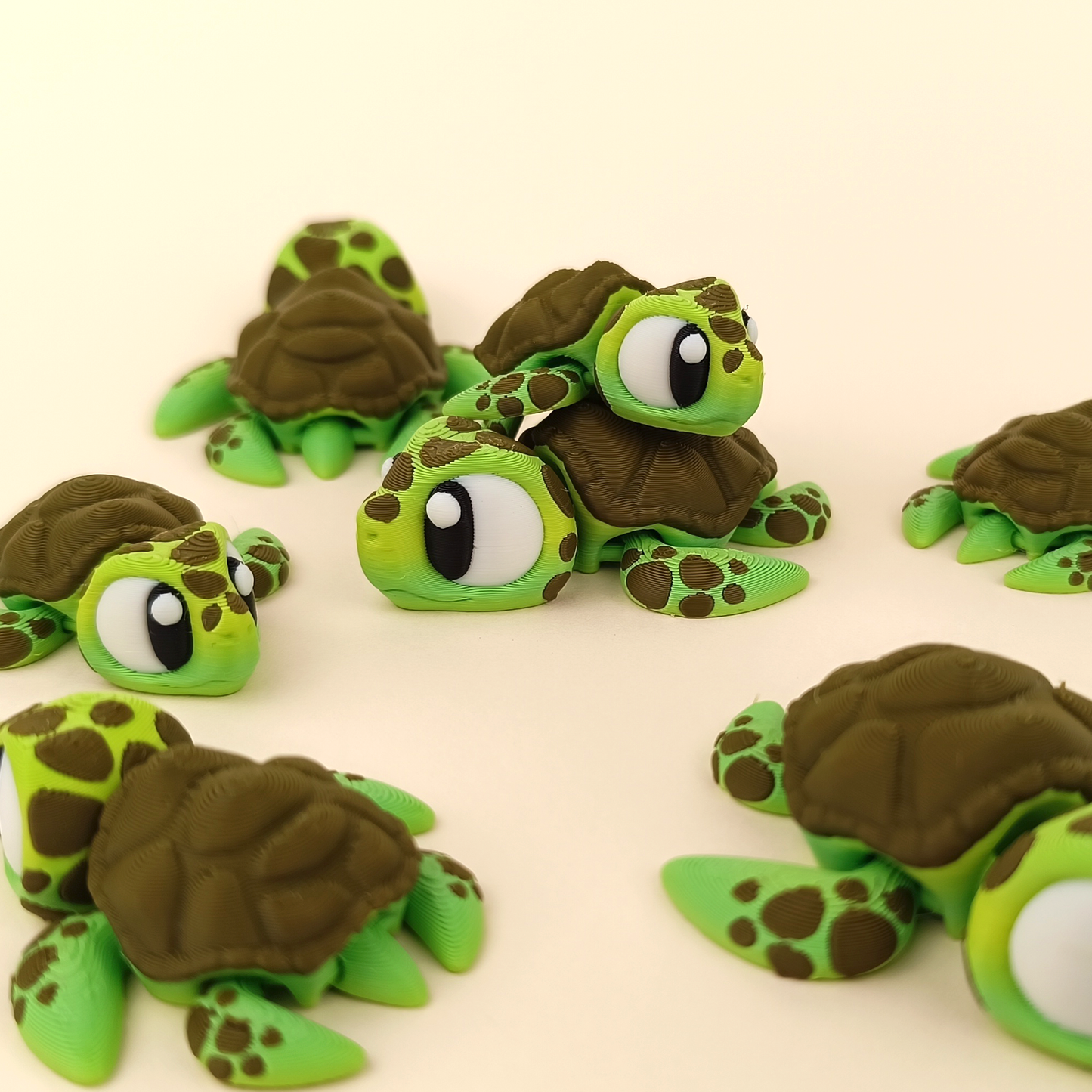 Tortuga