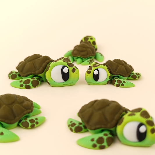 Tortuga
