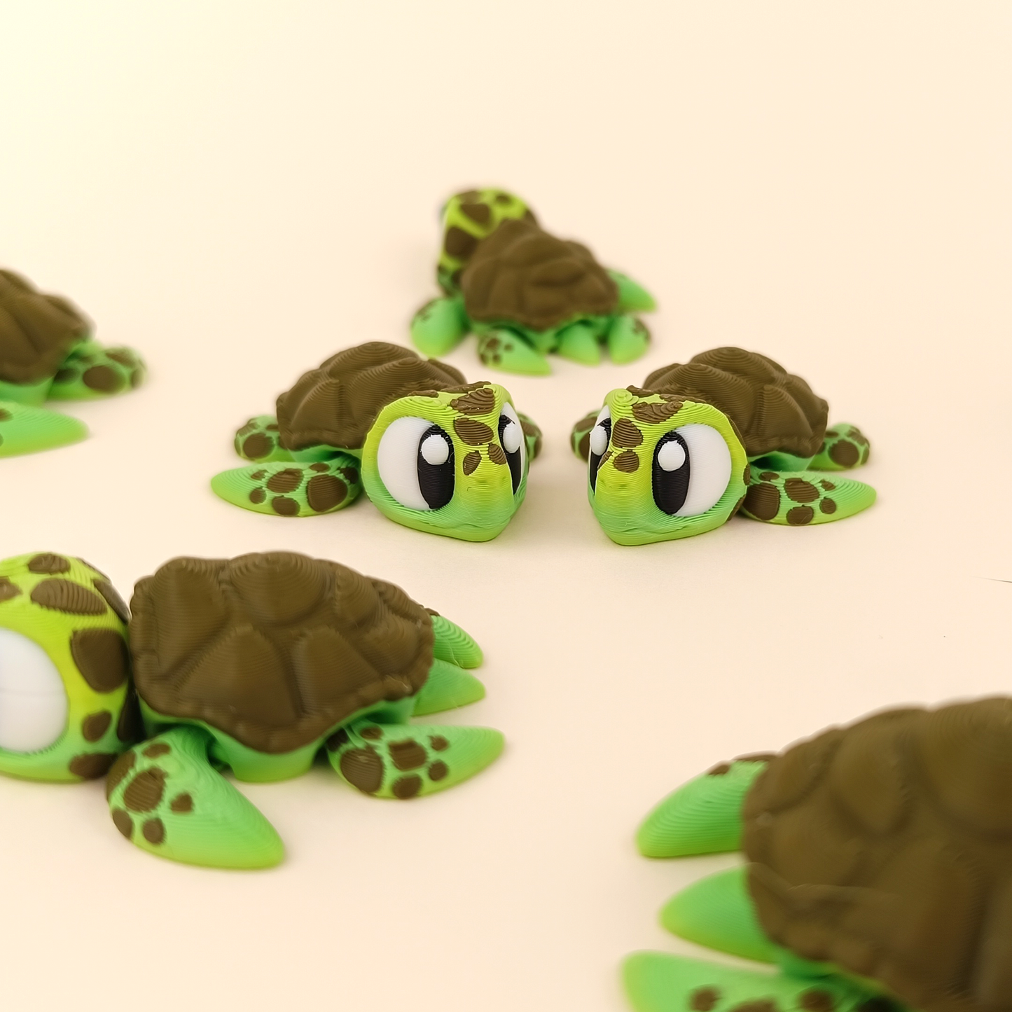 Tortuga
