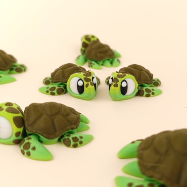 Tortuga